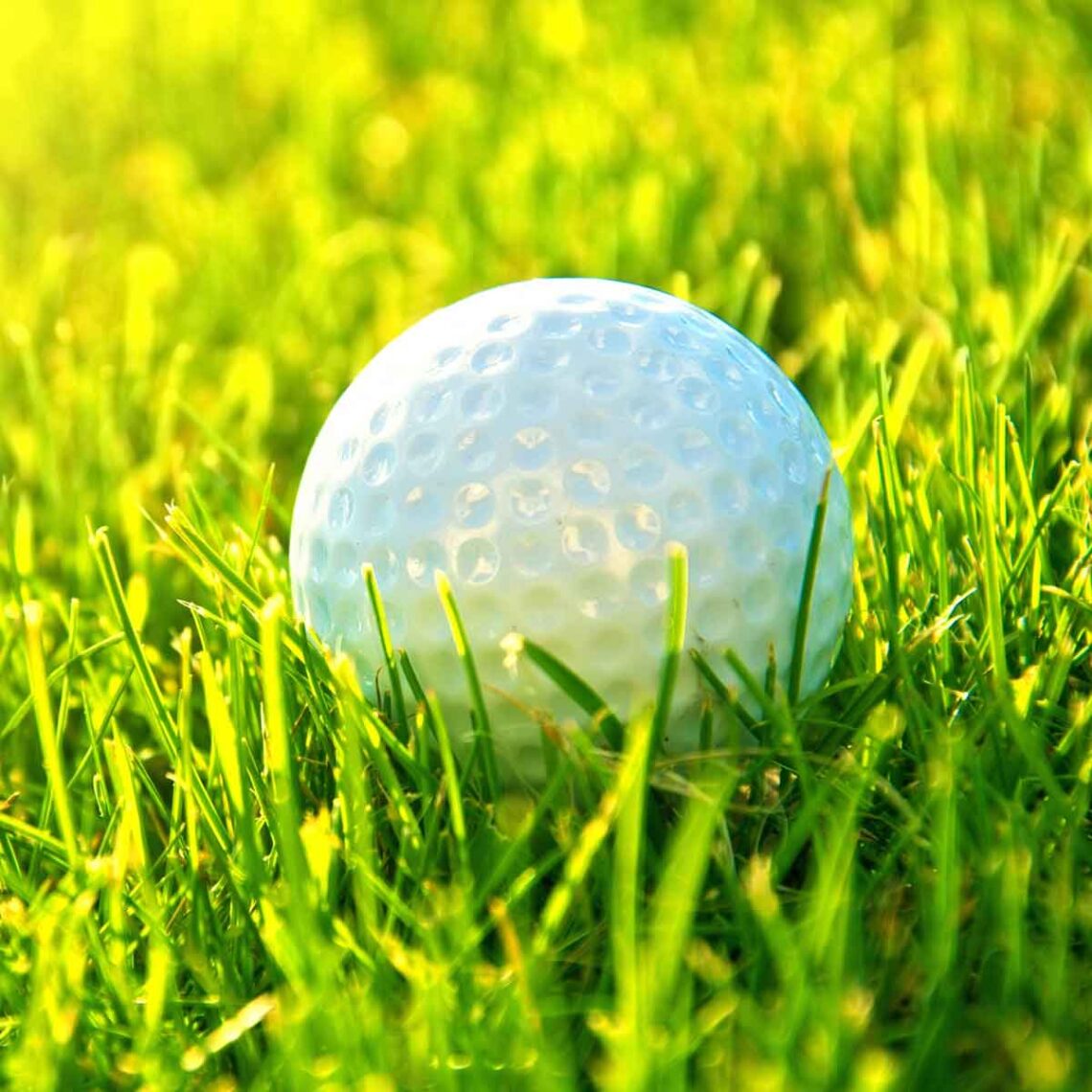 Planes - Puerto Cancún